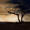 로시난테 이미지