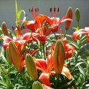 오성통상 이미지