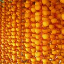 광용농장 이미지