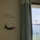 울릉대박펜션 | 11월 초 여행 일상 스토리 : ) 울릉도펜션 "울릉대박펜션" 후기