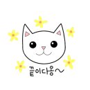 마이김밥 이미지