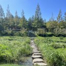 삼향천로 이미지