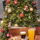 북문 | 대구 신상 경대북문점 카페 크리스마스 분위기 좋은 디디씨돌담커피 경대북문점 후기