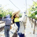 매곡면사무소 이미지