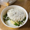 네네치킨 봉구스밥버거 미사호수공원점 | [하남 미사 간편 배달식]봉구스 밥버거 - 야채맛있새우~!