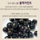살구쟁이들 | 응스응스! 마녀잼 주문 오픈 중 + 살구 살구, 살구쟁이들 모이세요!