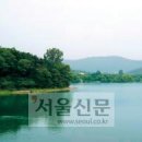 도심숲 이미지