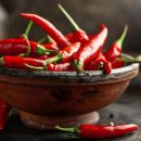 속리산 수라간 | 충북 괴산군 가볼만한 곳｜괴산고추축제 일정·프로그램 총정리