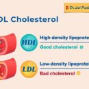 HDL 콜레스테롤 정상 수치 LDL 콜레스테롤 수치 이미지