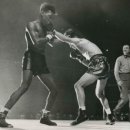 알리와 윌리 이미지