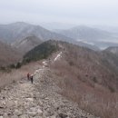 금강산금방