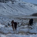 북부주유소화장실 이미지