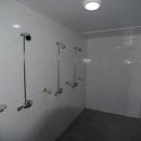 춘장대나드리캠핑장 이미지