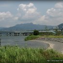 낙동강변2 이미지