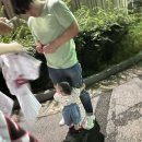 채이 Daum카페