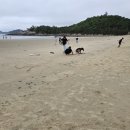 자은 백길해변 전남 신안섬 해수욕장 다녀왔죠
