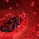 로하스한의원 이미지