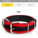 한스켄넬 - 남양주시 양진로 385 | 한스켄넬