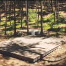 숲속캠핑장 이미지