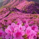 부천 종합운동장(나 ? 7) 이미지