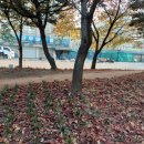 인천유통 이미지