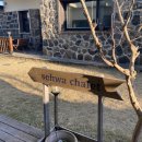 세화 샬레 | 제주 동쪽 세화 에어비앤비 후기 - 세화바다 앞 독채 스테이 [세화샬레]