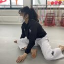 동탄용인대국가대표태권도 이미지