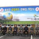 호점컴퓨터 이미지