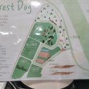 포레스트독 이미지