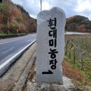 대미농장 이미지