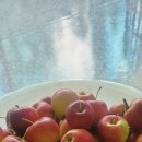 복주농장 이미지