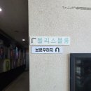 후후브로 | 보정동 속눈썹펌 브로우하지 내돈내산 솔직후기 (1주일 후 변화)