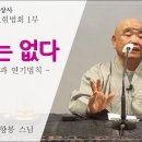 법우님들 요즘 향봉스님의 "윤회는 없다"란 말로 떠들썩합니다. 혹시 이미지