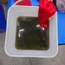 새모범약국 이미지