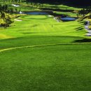 코스카cc 이미지