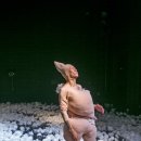 FUN FUN하게 살고 싶다 이미지