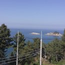 패밀리아 펜션 이미지