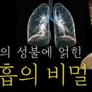 소피아 - 부천시 소사구 소삼로 47-1 | 소피아