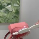 신종호치과의원 이미지