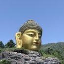 와우정사 | ✨용인 가볼만한 곳 추천! 와우정사 방문 후기