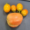 온새미로도서관 | 8월 첫주 회복일상