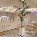 헬로플레이 이미지