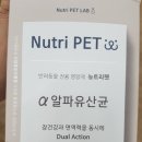 미성온누리약국 이미지