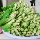 명신농장 이미지