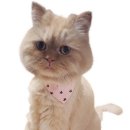 파인힐모텔 이미지