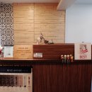 크로커다일제주 이미지
