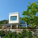 260501 통영 하동 (덖음차) 투어 이미지