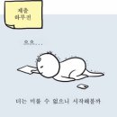 금융경제교육상담 | KB-YMCA 경제금융교육 봉사단 폴라리스+ 25기 합격후기