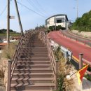 초양낚시편의점 이미지