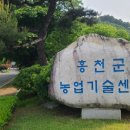 홍천식물원
